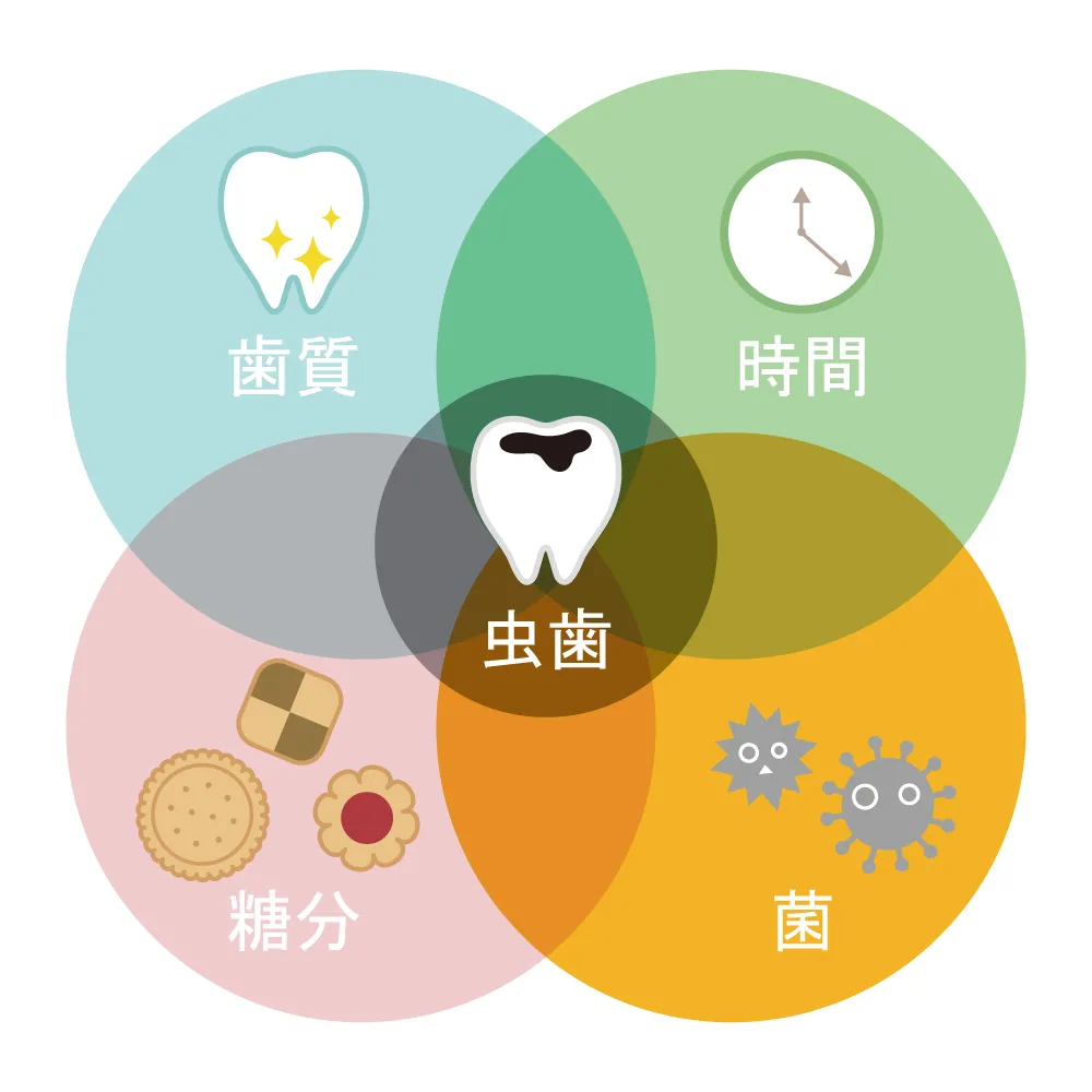 虫歯ができるイメージ画像